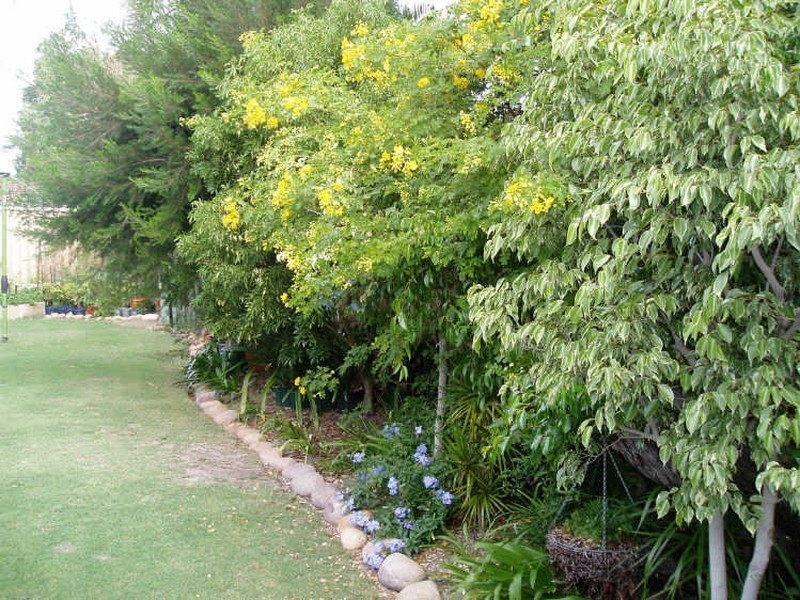 10 Thatched Court, Bibra Lake WA 6163