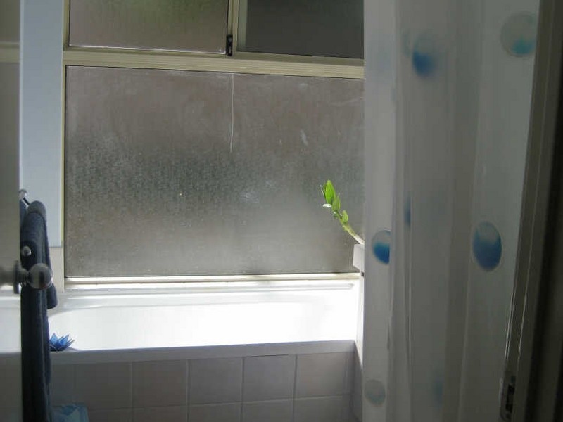 2/33 Harfoot Street, Willagee WA 6156