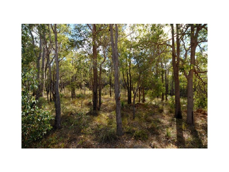 186 Mitchell Road, Bickley WA 6076