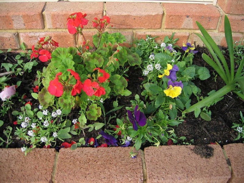 4/29 Point Walter Road, Bicton WA 6157