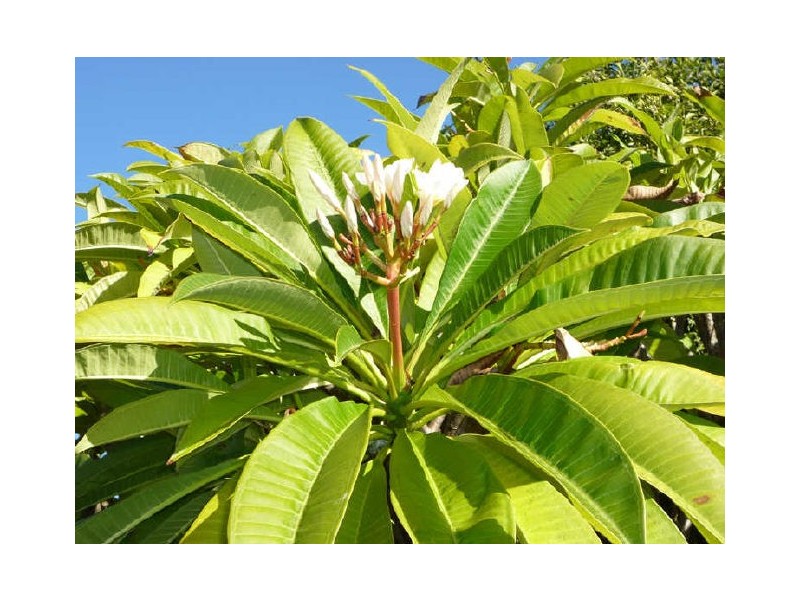 5/50-52 Leach Highway, Wilson WA 6107