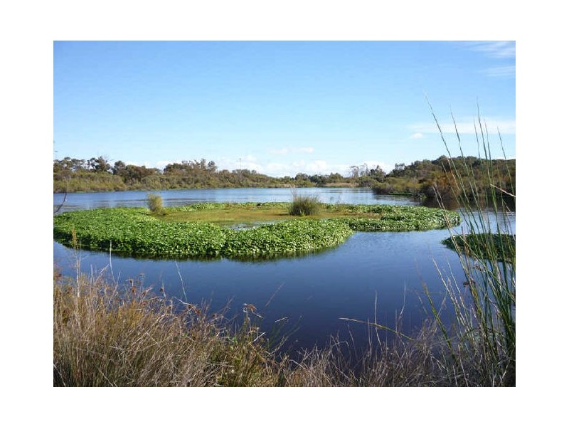 5/50-52 Leach Highway, Wilson WA 6107