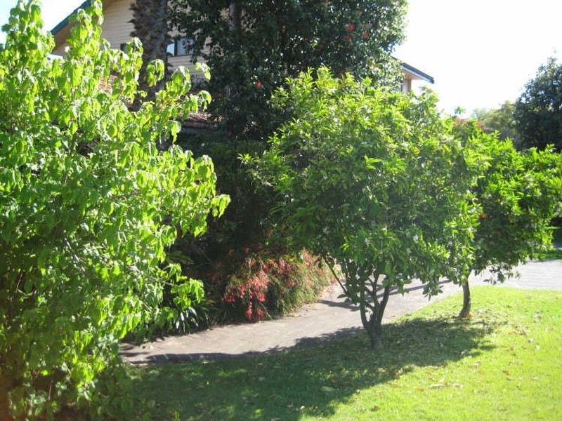 30 Mullings Way, Myaree WA 6154