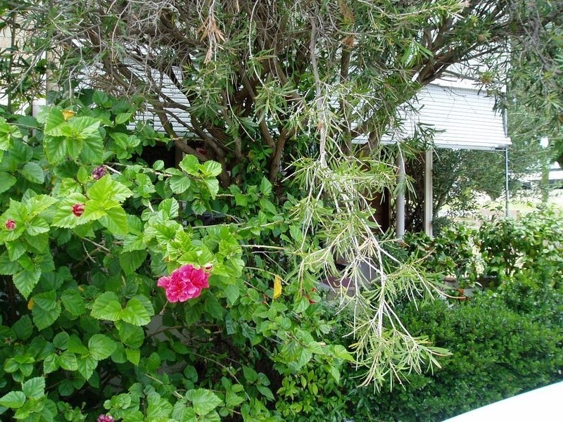 1/428 Canning Highway, Attadale WA 6156