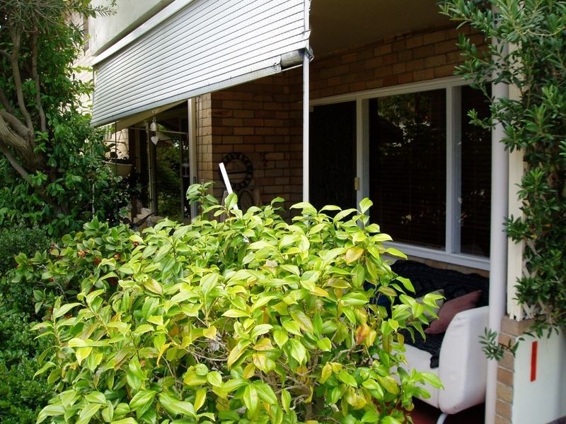 1/428 Canning Highway, Attadale WA 6156