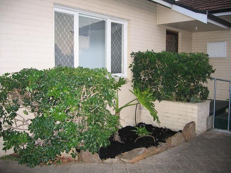 29 Wiluna Avenue, White Gum Valley WA 6162