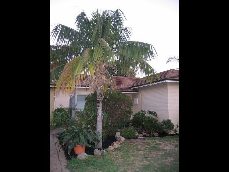 29 Wiluna Avenue, White Gum Valley WA 6162