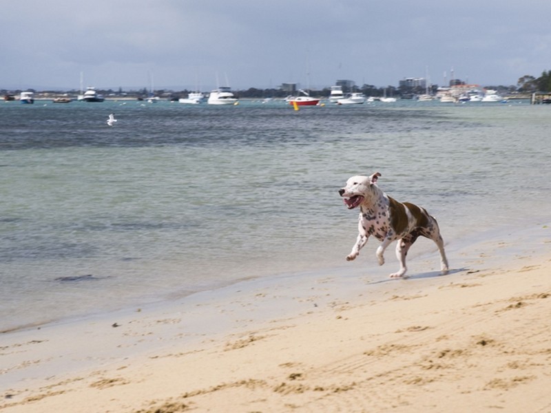 1/10 Fletcher Street, Rockingham WA 6168