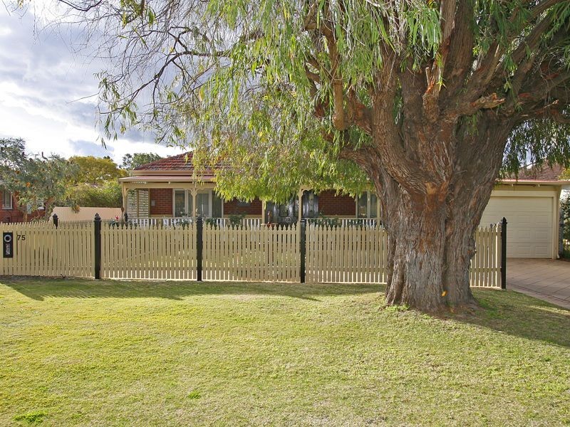 75 Lamond Street, Alfred Cove WA 6154