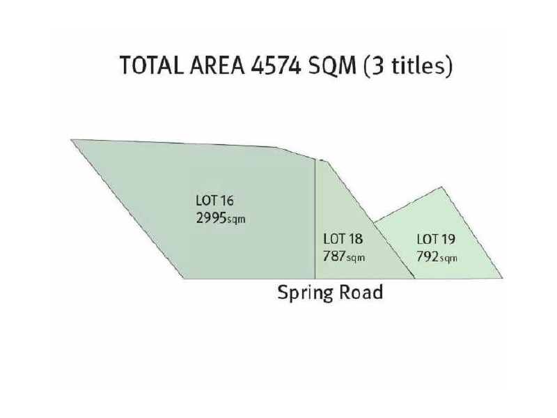 100, 104/106 Spring Road, Thornlie WA 6108