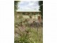 48 Craddon Road, Oakford WA 6121
