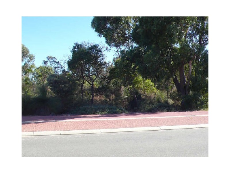 16 Wagtail Link, Beeliar WA 6164
