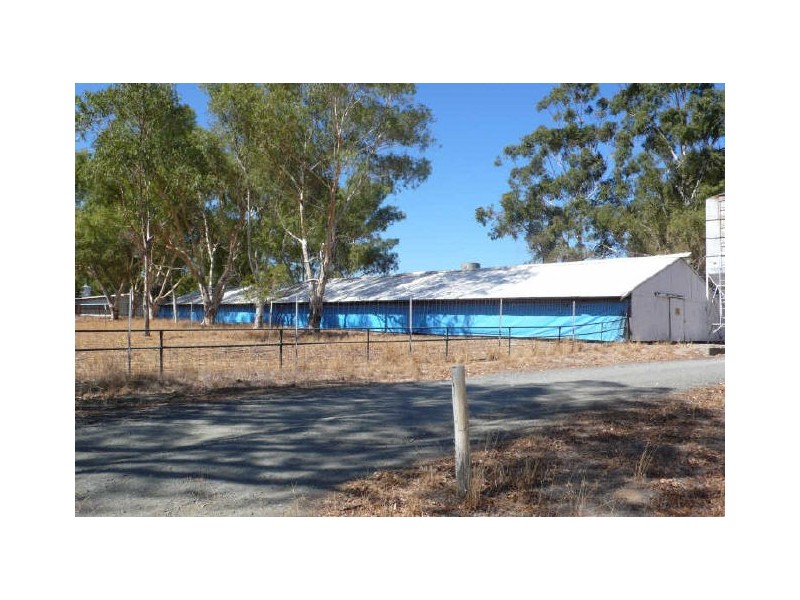 50 Tuart Road, Oakford WA 6121