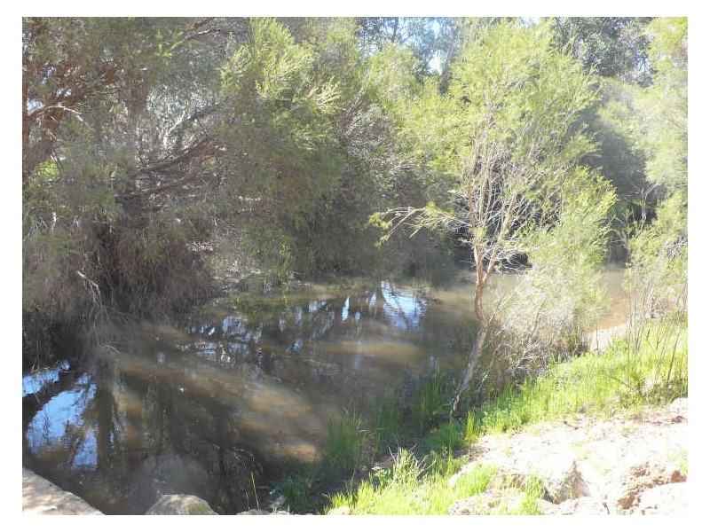 125 Hilbert Road, Brookdale WA 6112