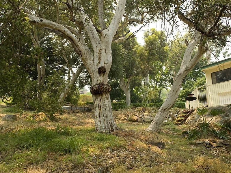 58 West Terrace, Kalamunda WA 6076