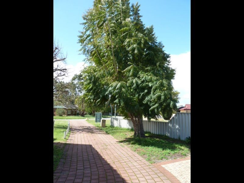 23B Bernice Way, Thornlie WA 6108