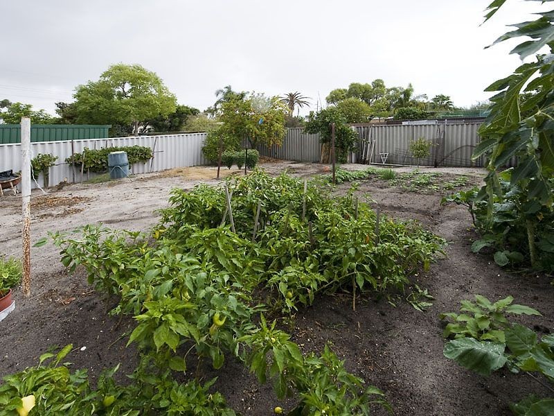 13 Barming Street, Gosnells WA 6110