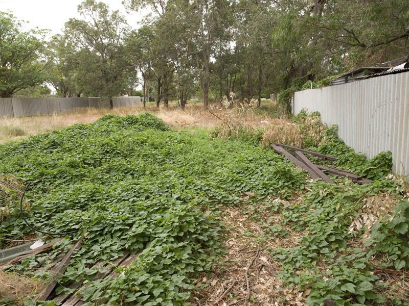 23B Westfield Street, Maddington WA 6109