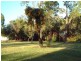 28 Regency Drive, Thornlie WA 6108