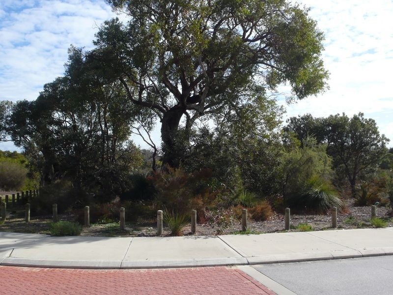 33 Astroloma Drive, Success WA 6164