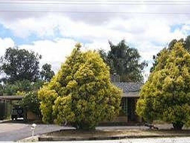 82 Wanaping Road, Kenwick WA 6107