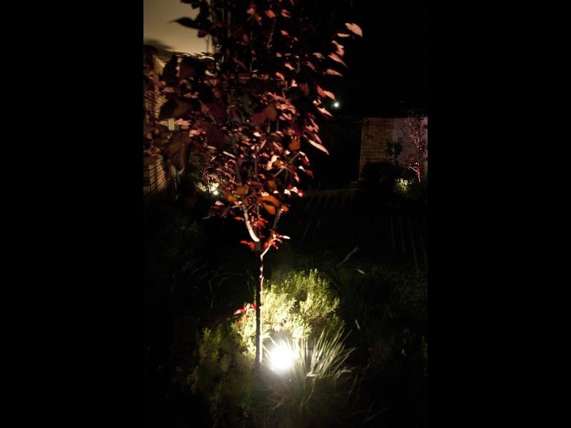 21 Rosemary Court, Huntingdale WA 6110