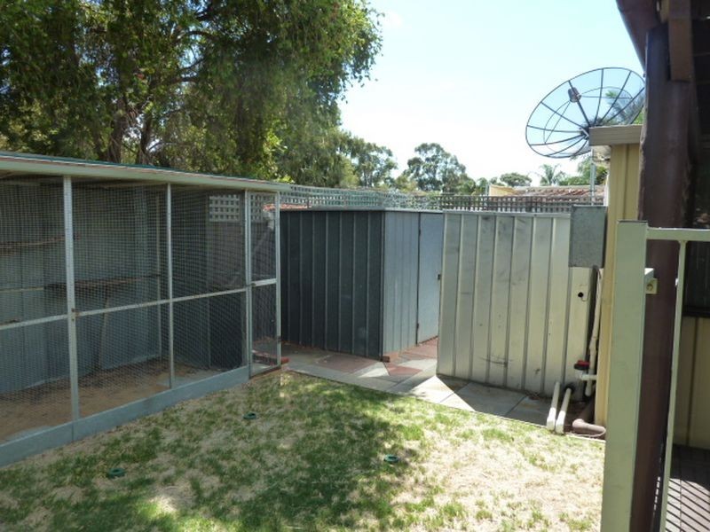 73B Wilfred Road, Thornlie WA 6108