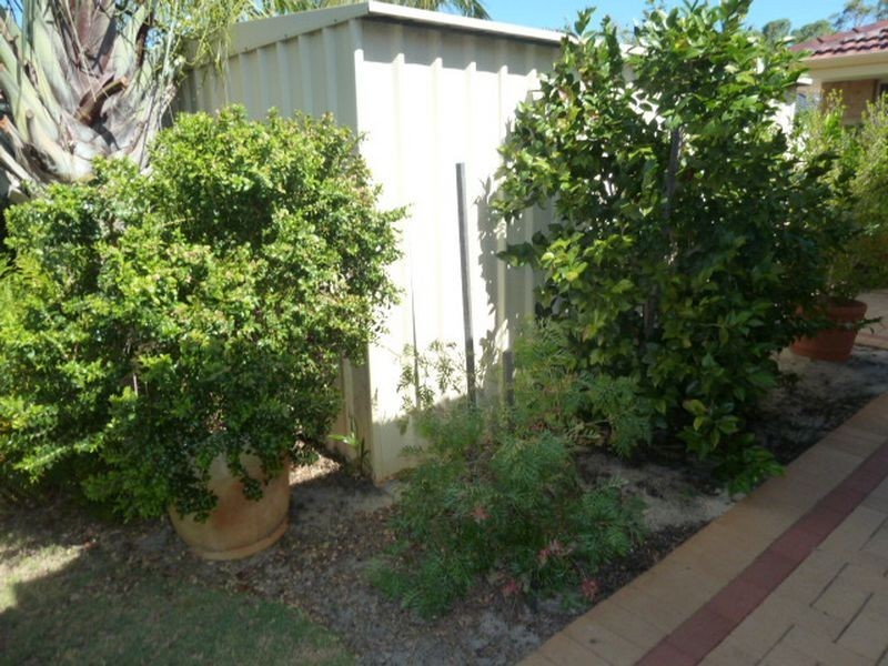 16 Tatton Turn, Canning Vale WA 6155