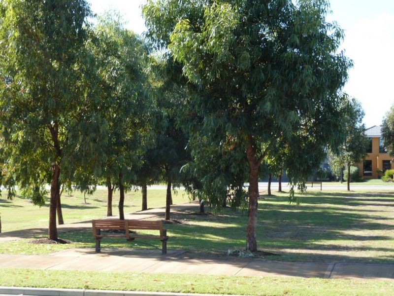 7 Platypus Parkway, Beeliar WA 6164