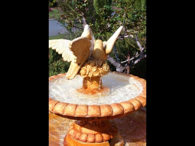 19 Bottlebrush Drive, Thornlie WA 6108