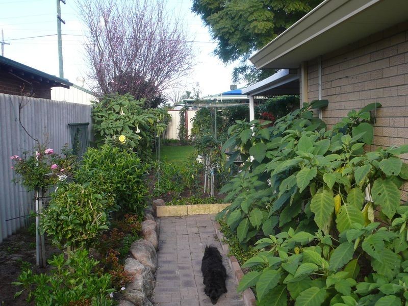 12 Boxworth Court, Huntingdale WA 6110