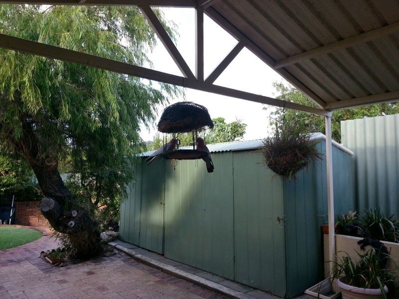 19 Crusader Drive, Thornlie WA 6108