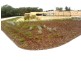 Lot 3 Apium Mews, Munster WA 6166