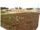 Lot 5 Apium Mews, Munster WA 6166
