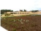 Lot 10 Apium Mews, Munster WA 6166