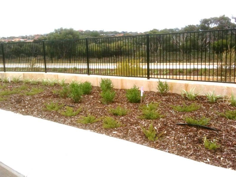 Lot 11 Apium Mews, Munster WA 6166
