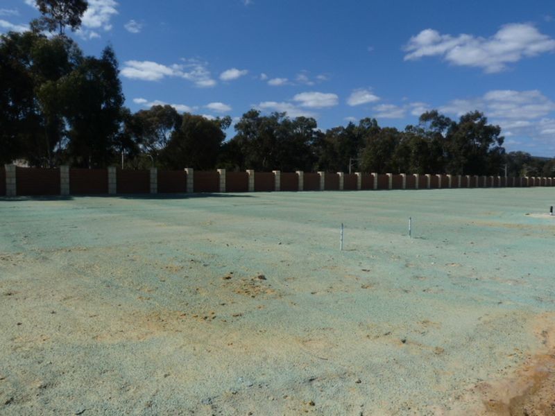 Lot 567 Dowitcher Loop, Gosnells WA 6110
