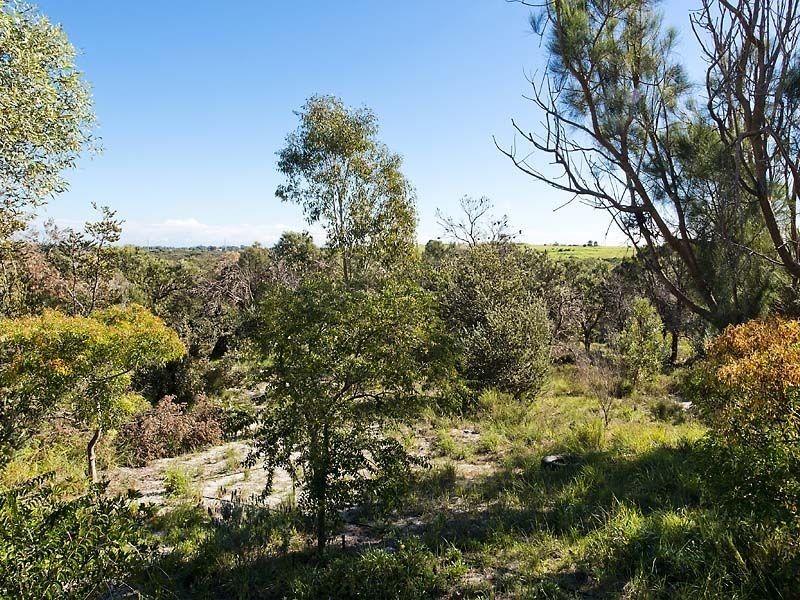 3 Protea Place, Canning Vale WA 6155