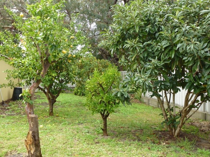 22A Bert Street, Gosnells WA 6110