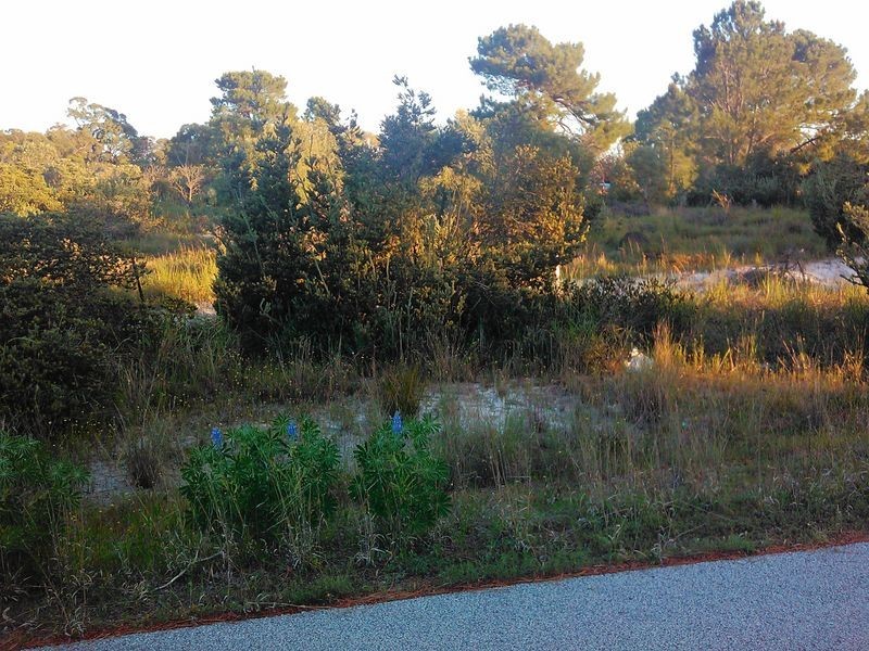 Lot 700 Dale Place, Orange Grove WA 6109