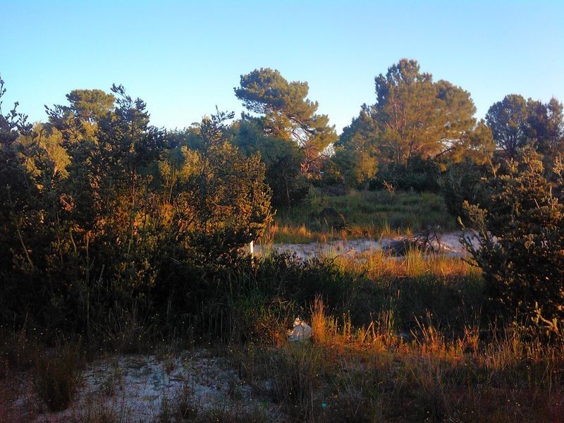 Lot 700 Dale Place, Orange Grove WA 6109