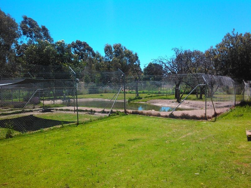 18 Hybrid Court, Banjup WA 6164