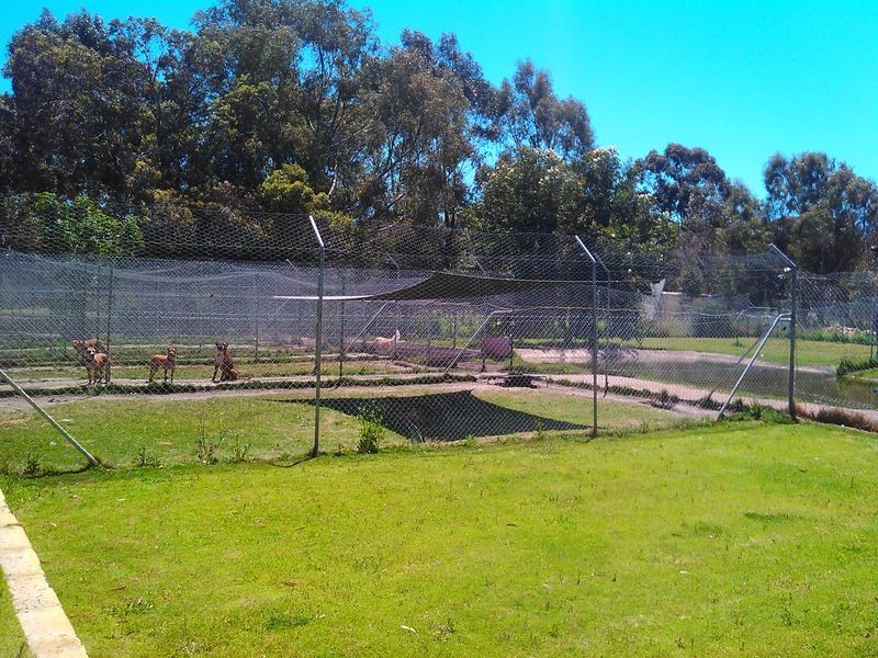 18 Hybrid Court, Banjup WA 6164