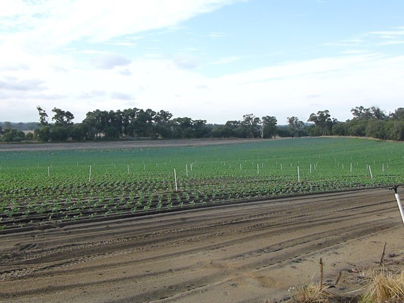 154 Hazlett Road, Myalup WA 6220