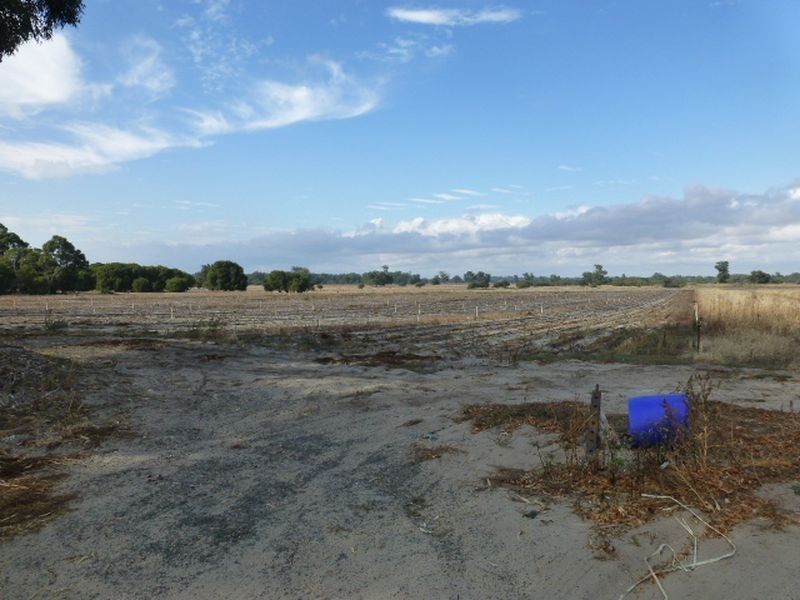 154 Hazlett Road, Myalup WA 6220