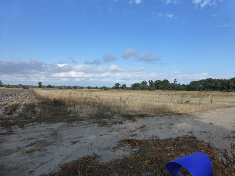 154 Hazlett Road, Myalup WA 6220