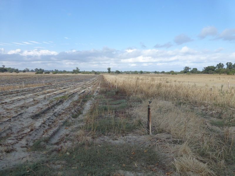 154 Hazlett Road, Myalup WA 6220