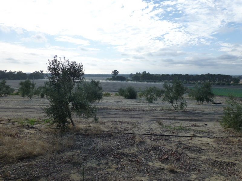 154 Hazlett Road, Myalup WA 6220