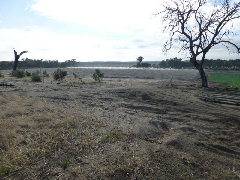 154 Hazlett Road, Myalup WA 6220