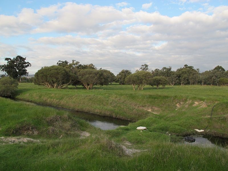 77 Matison Street, Southern River WA 6110